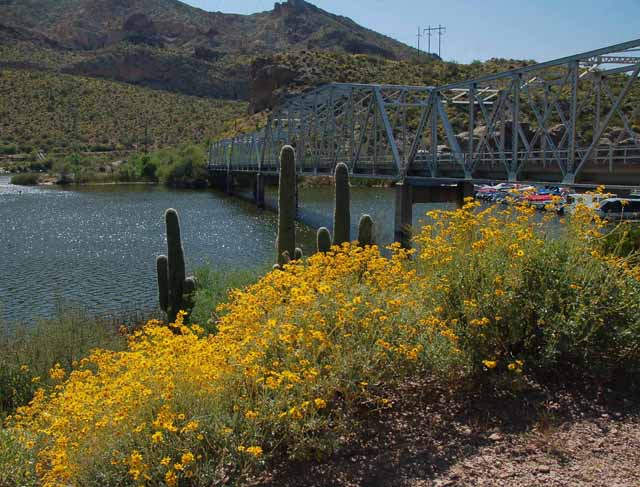 Canyon Lake